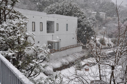 雪の美術館